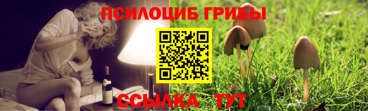 Псилоцибиновые грибы ЛСД Артёмовский
